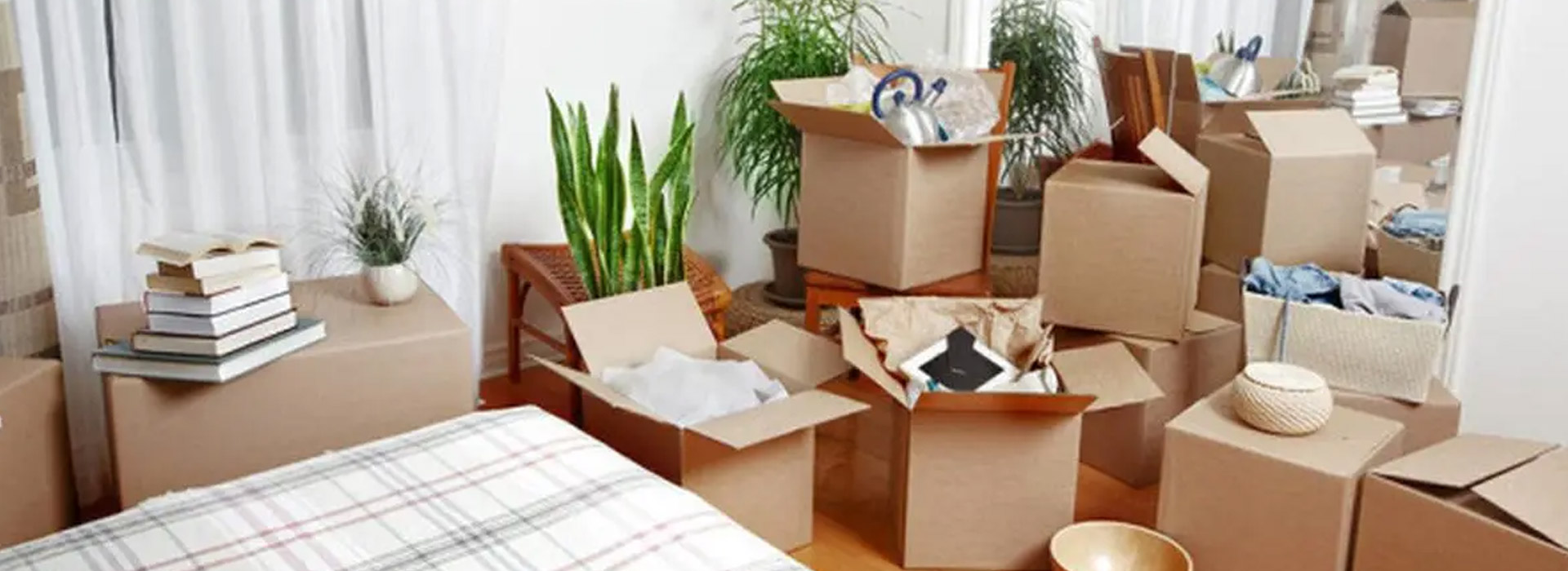 House Clearance